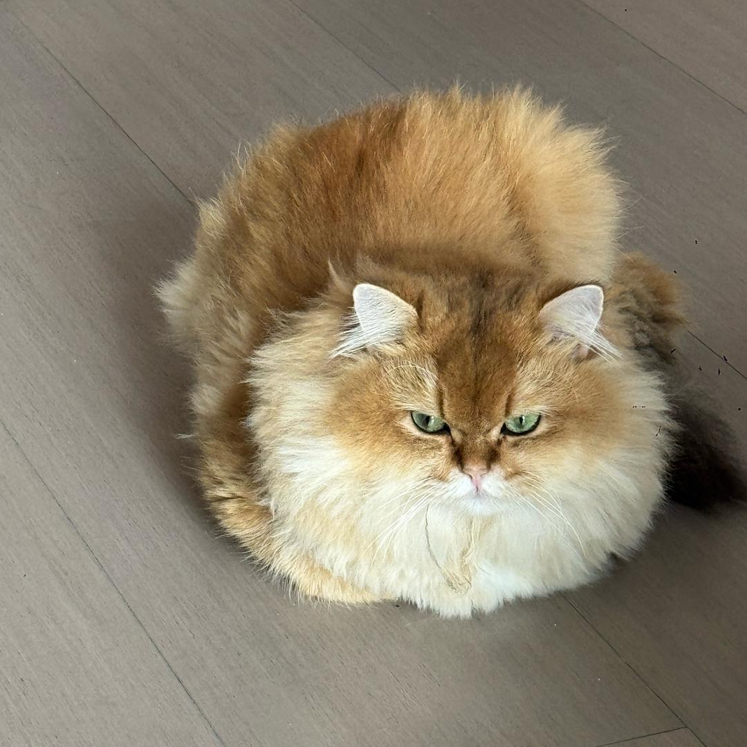 风停了