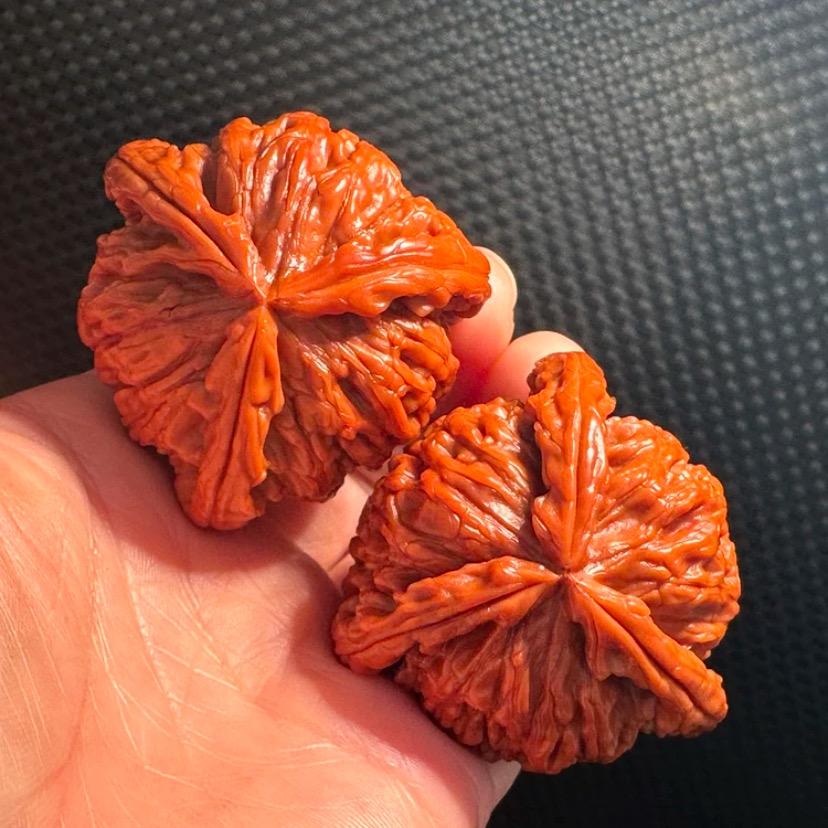 天子文玩