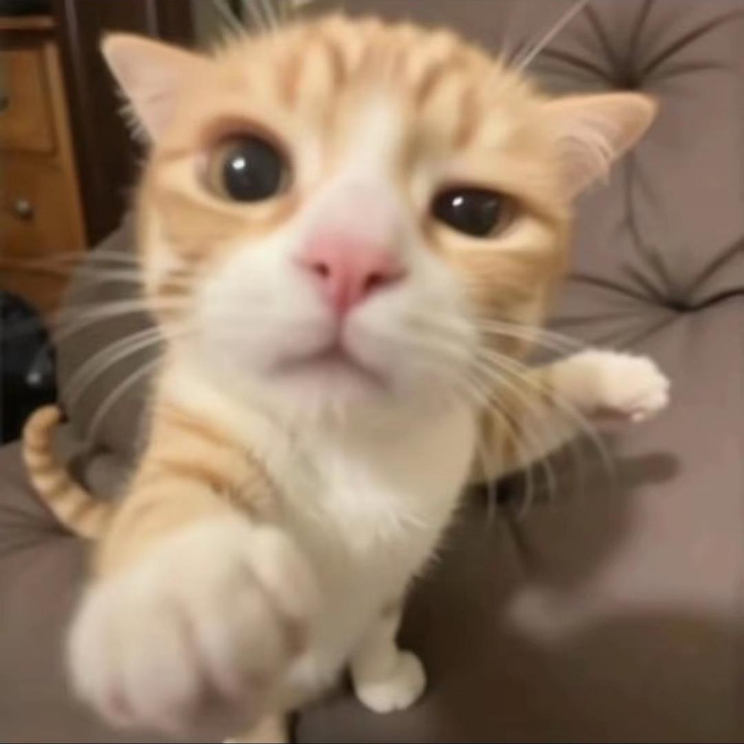 Caps(看过王以太巡演版！）