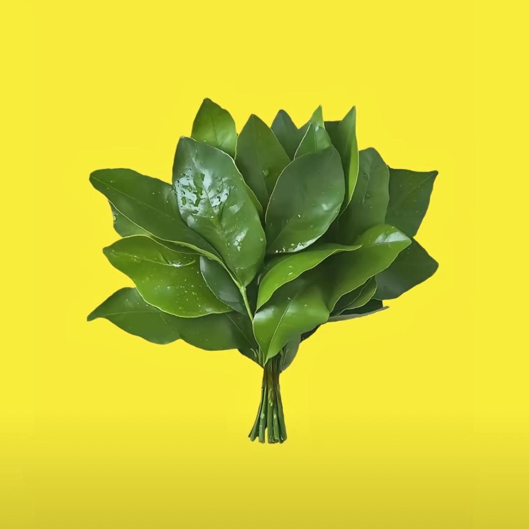 逗菲啊！