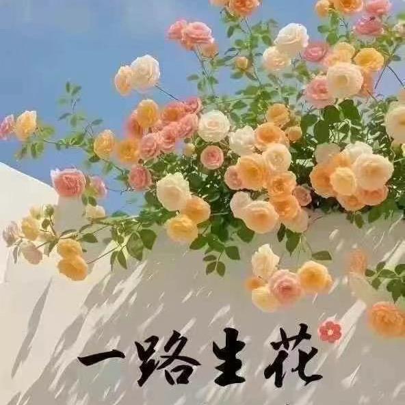 哈哈