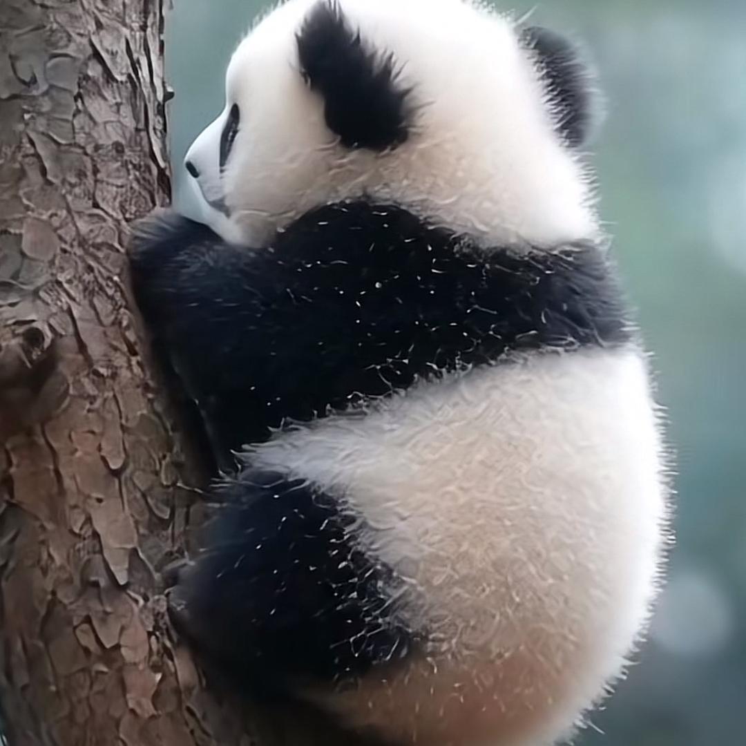 略略怪😜