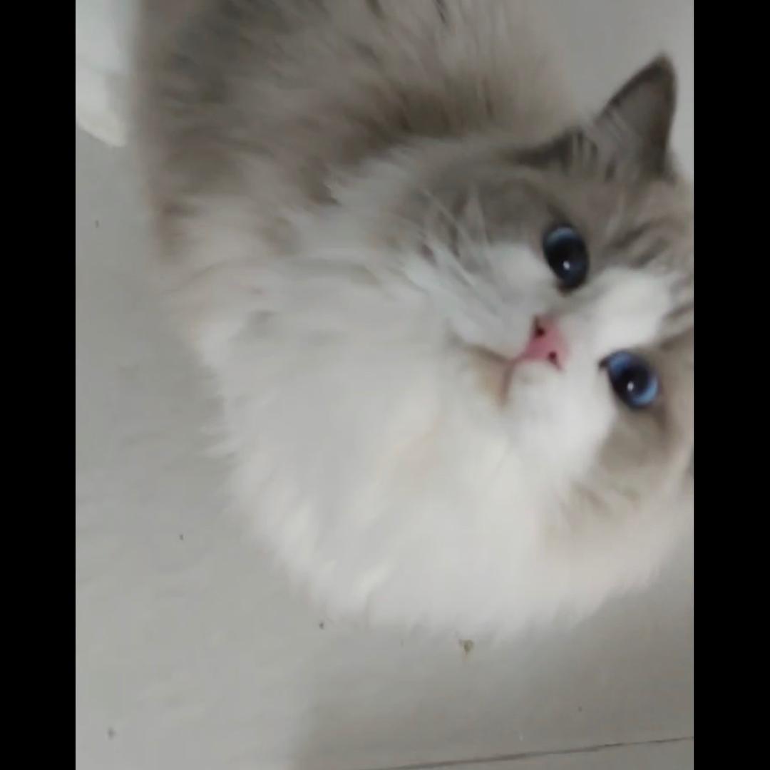 韬韬