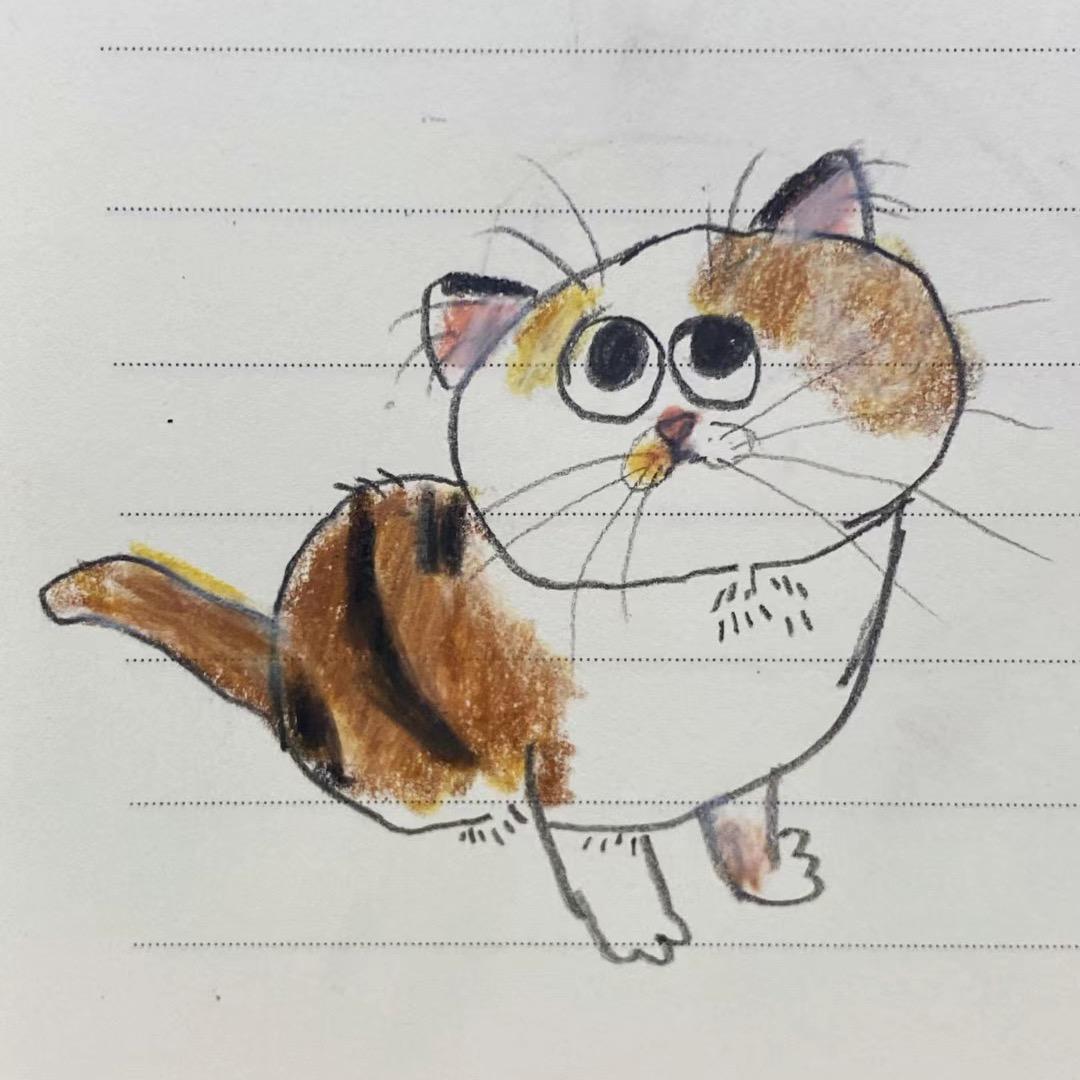 木板