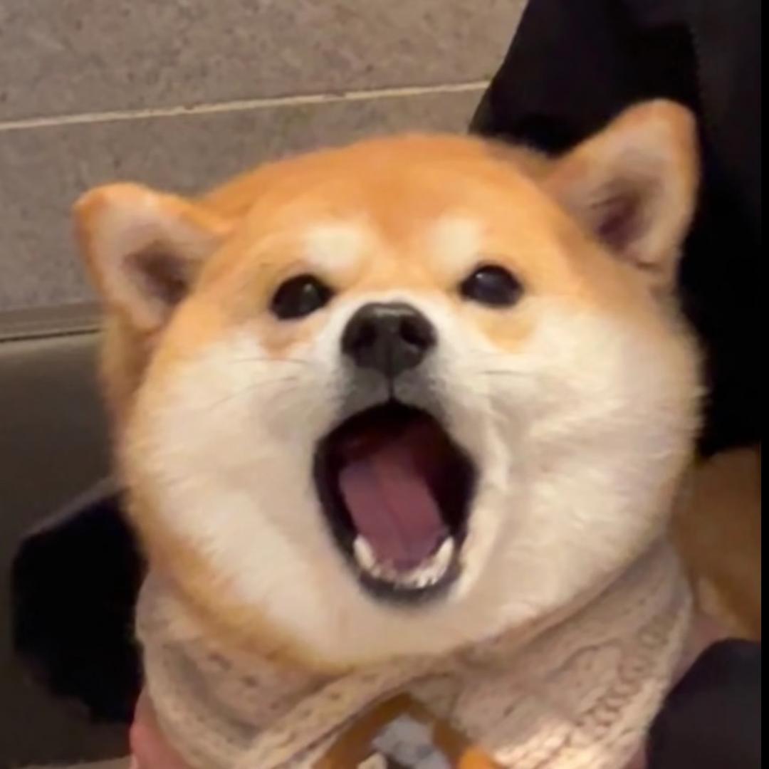 奶茶小圆子