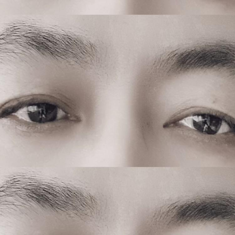 博格坎普
