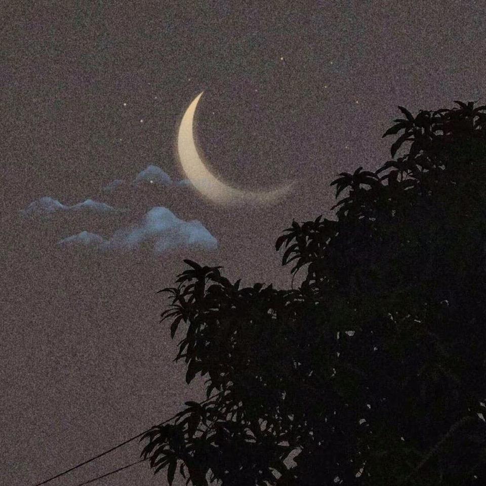 刘仁西