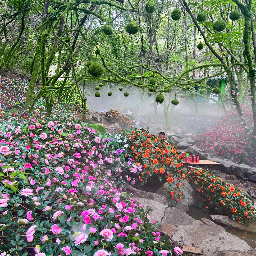 ๑ò南风～微凉ó๑