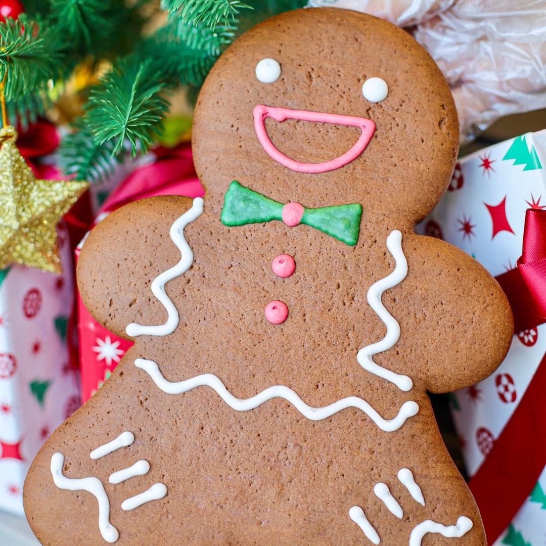 禾筱健儿童山楂麻饼