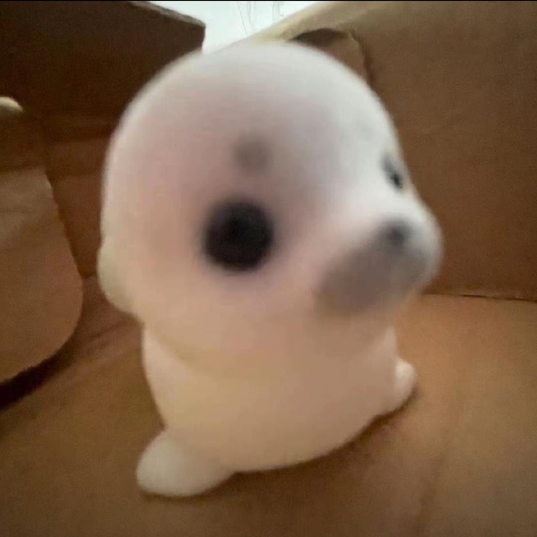 波比波比波波比波