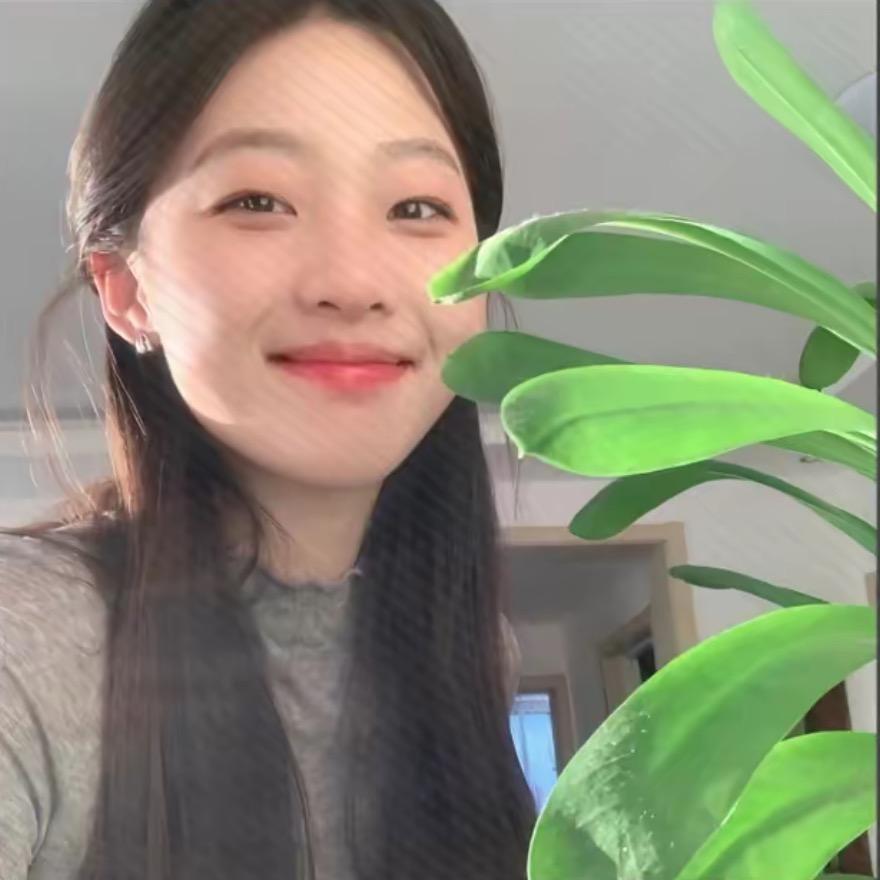 好物分享小鼠