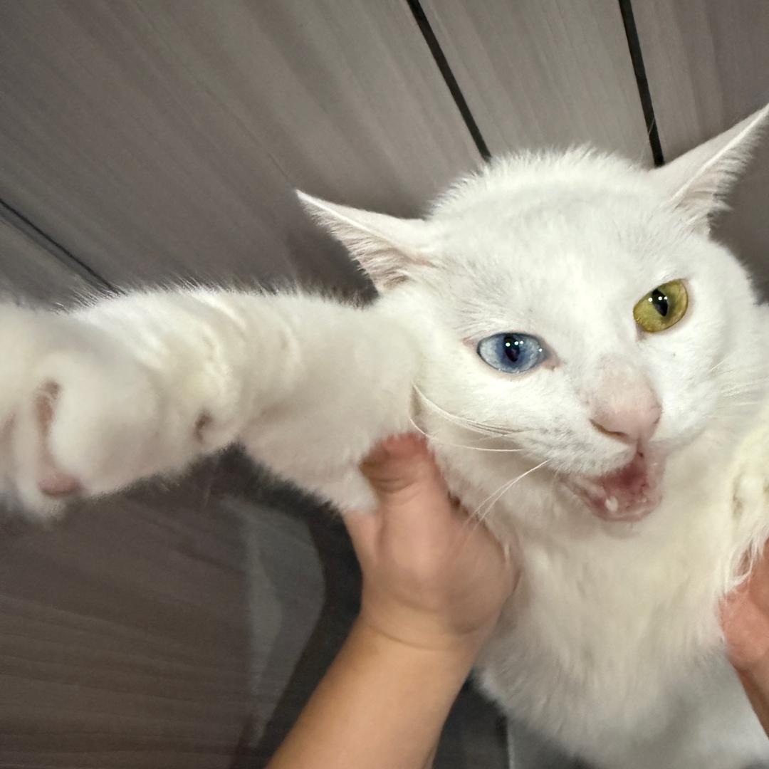 随风i头像