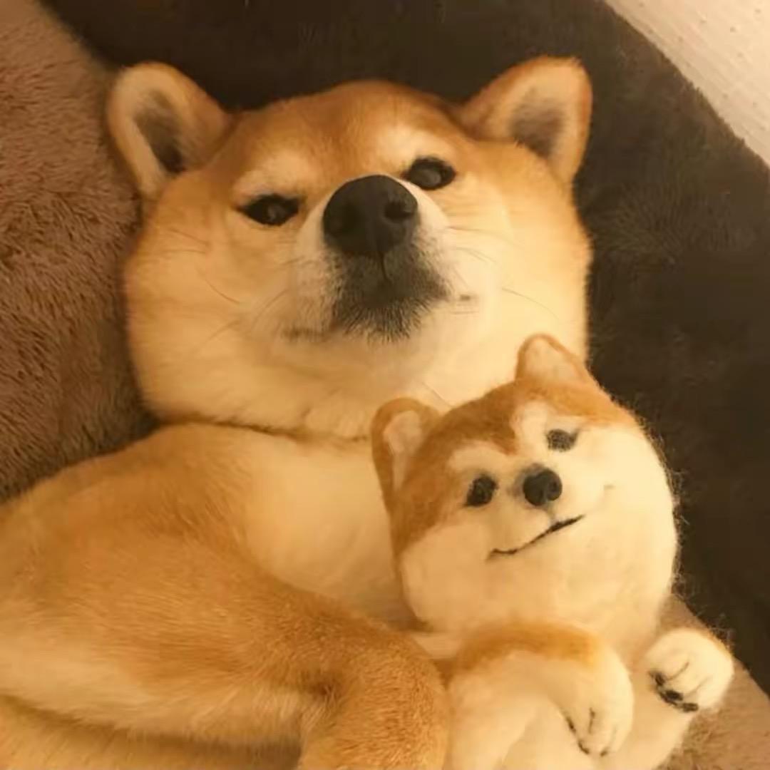南方的阳