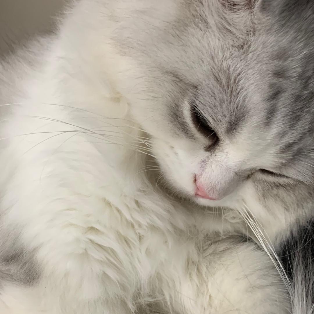 小氣鬼