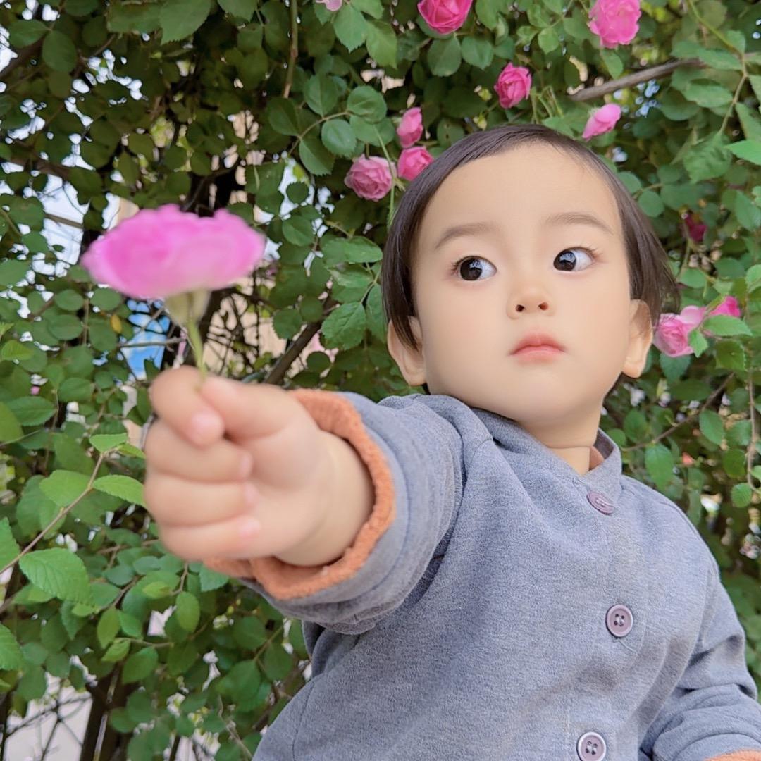 芳华🌈
