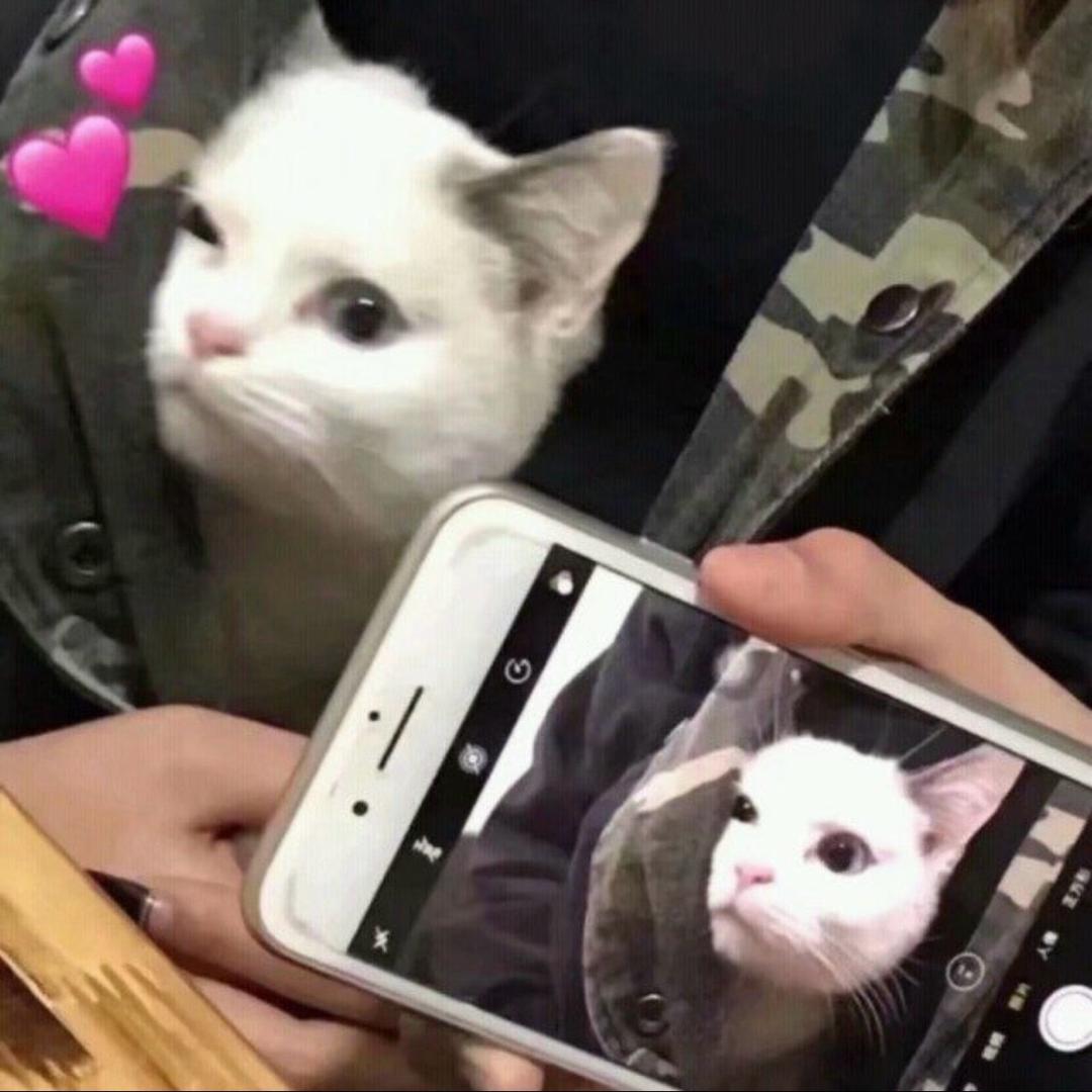 大不溜小不溜