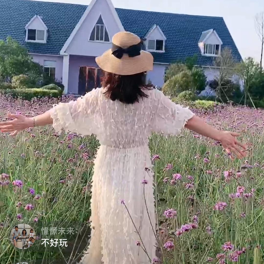 菜根香