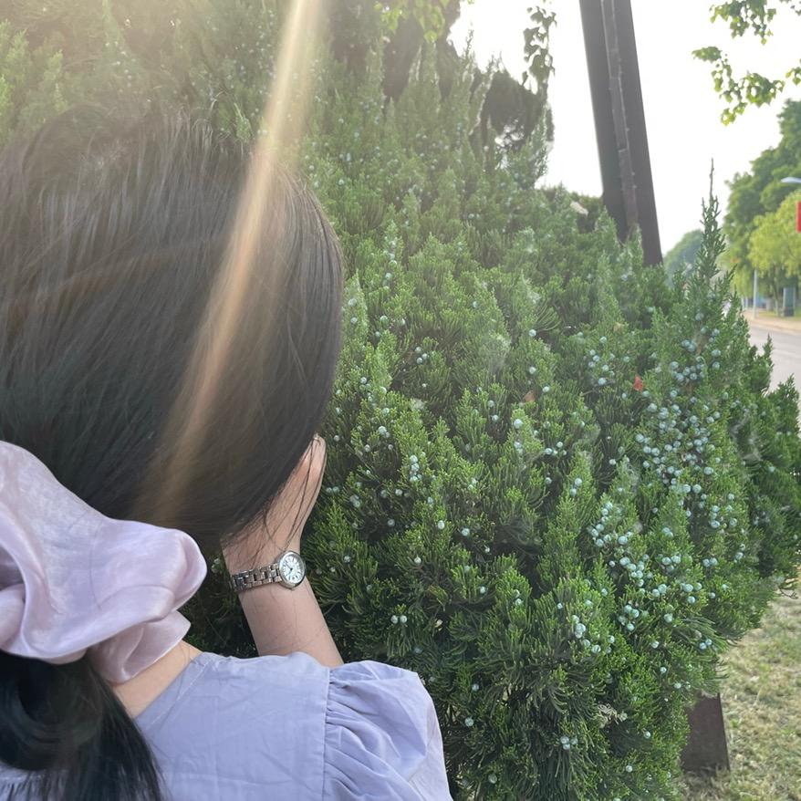 小土豆🥔🥔🥔