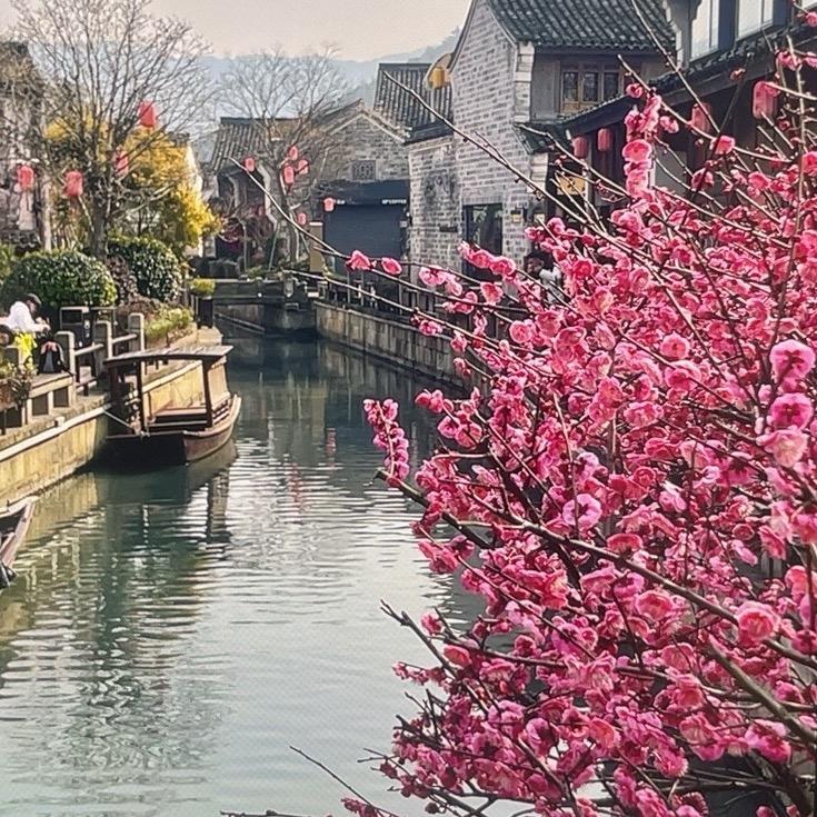 小宁波