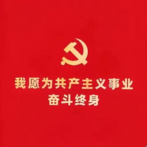 猫线团OvO