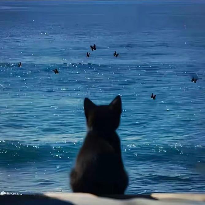 小畅奢品鞋服2️⃣