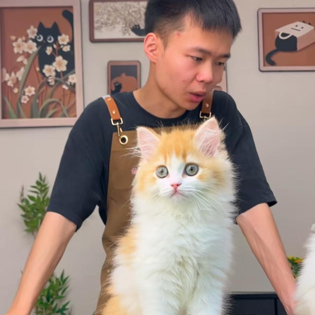 喵托邦～班长说猫
