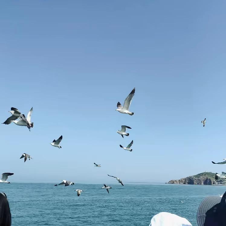 杰.