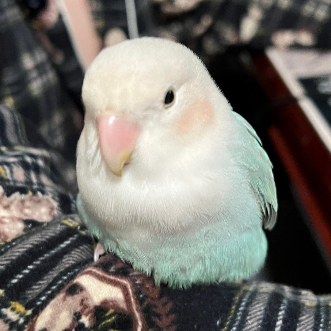 林朵朵❤️💛💚