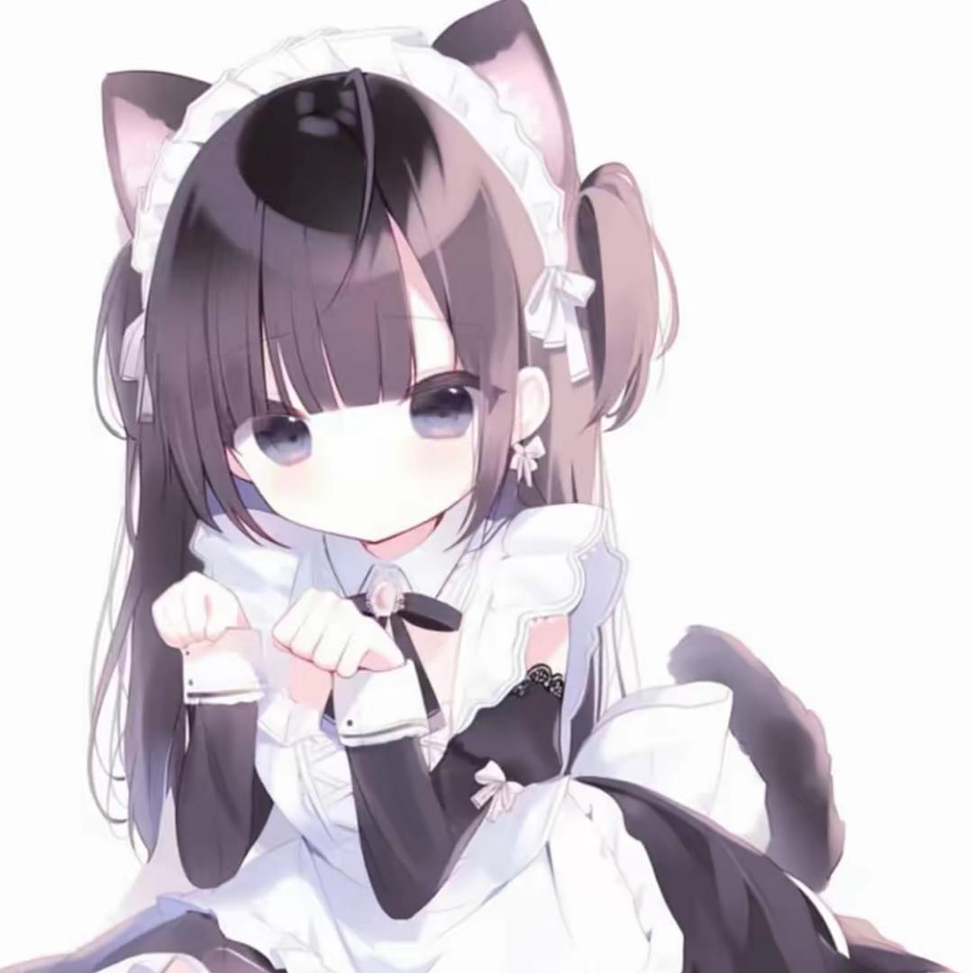 小宝呆呆猫