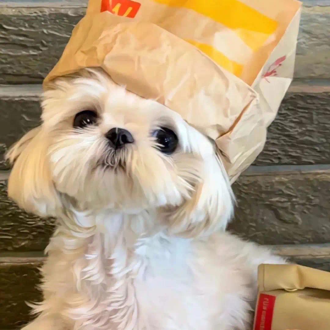 小炸甜品铺