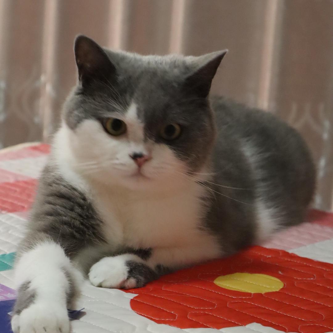 瞬～