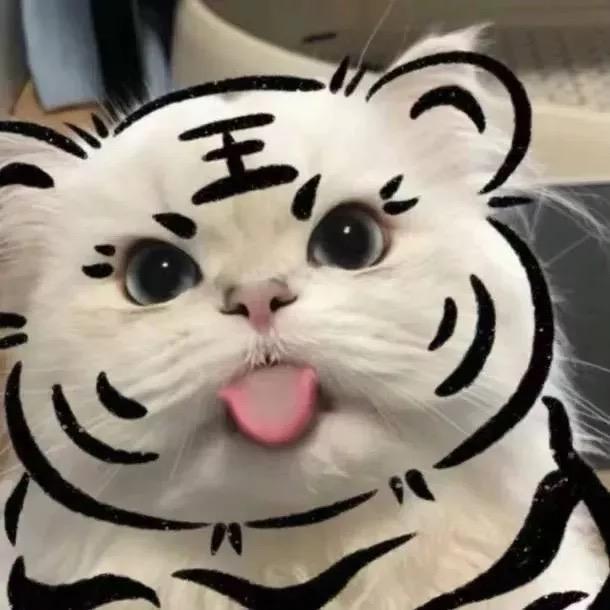 🐣多弗朗明哥🎈