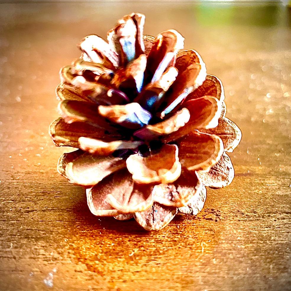 周。。。。。周