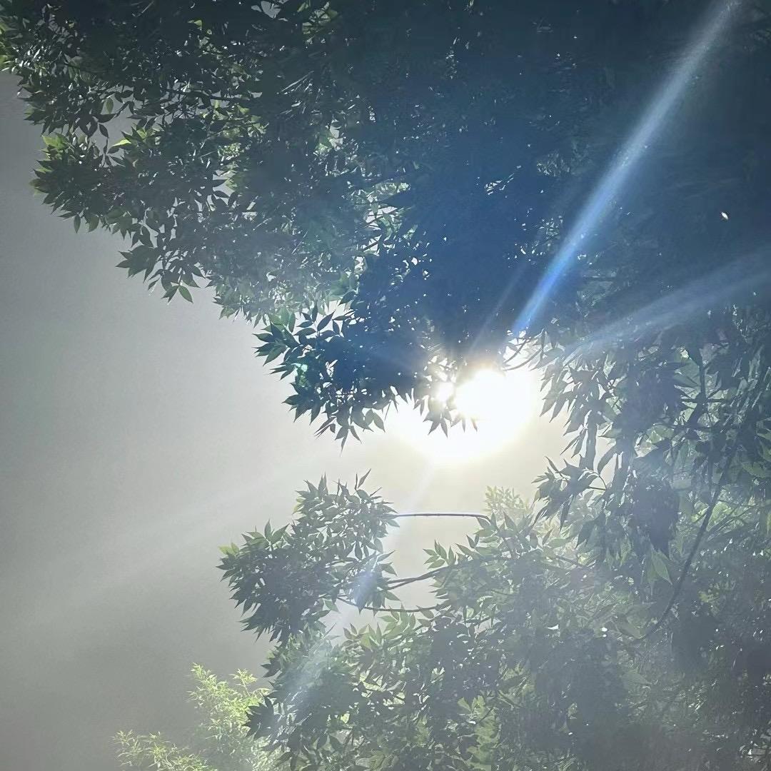 ♥海的那边是盐