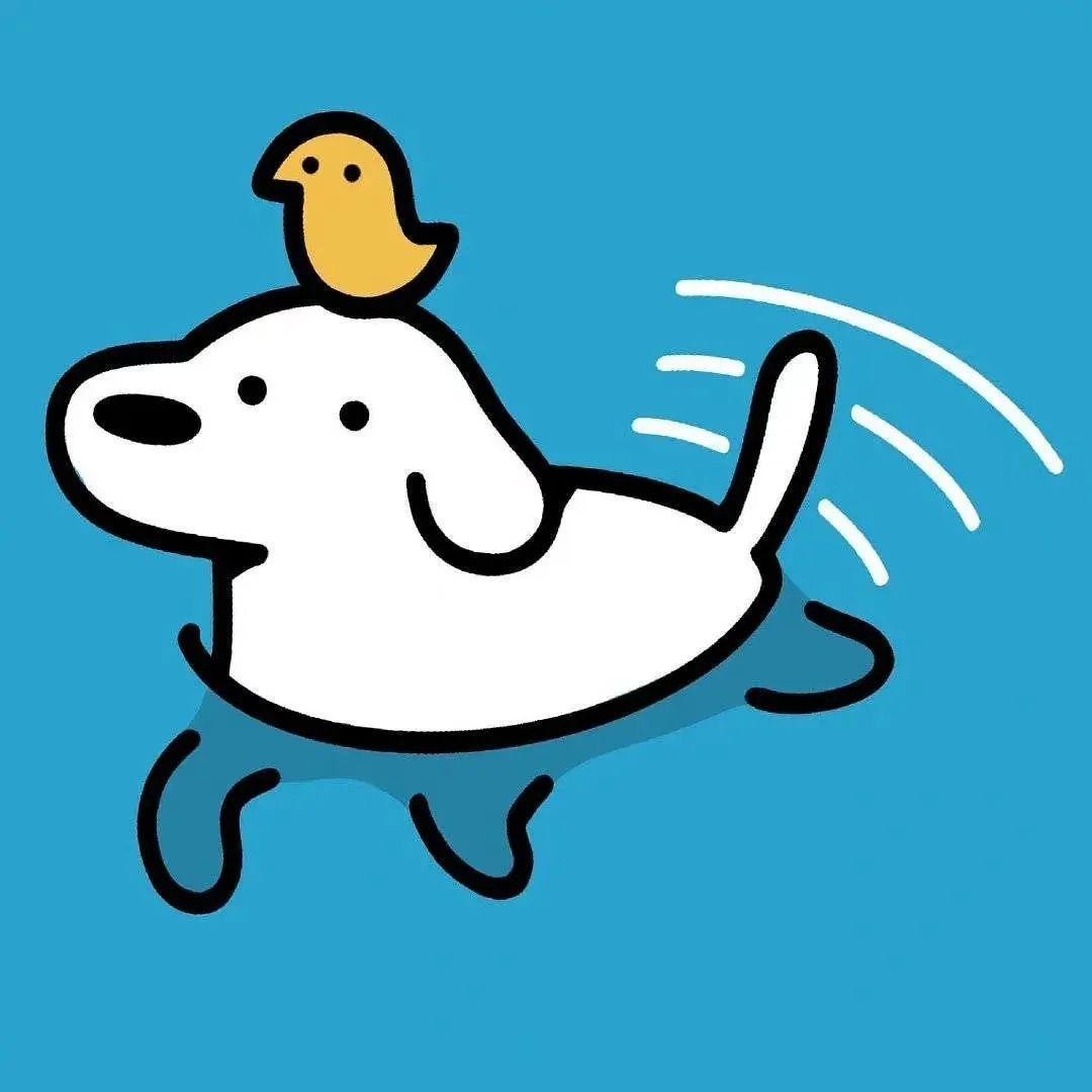 资蛋哥不慌