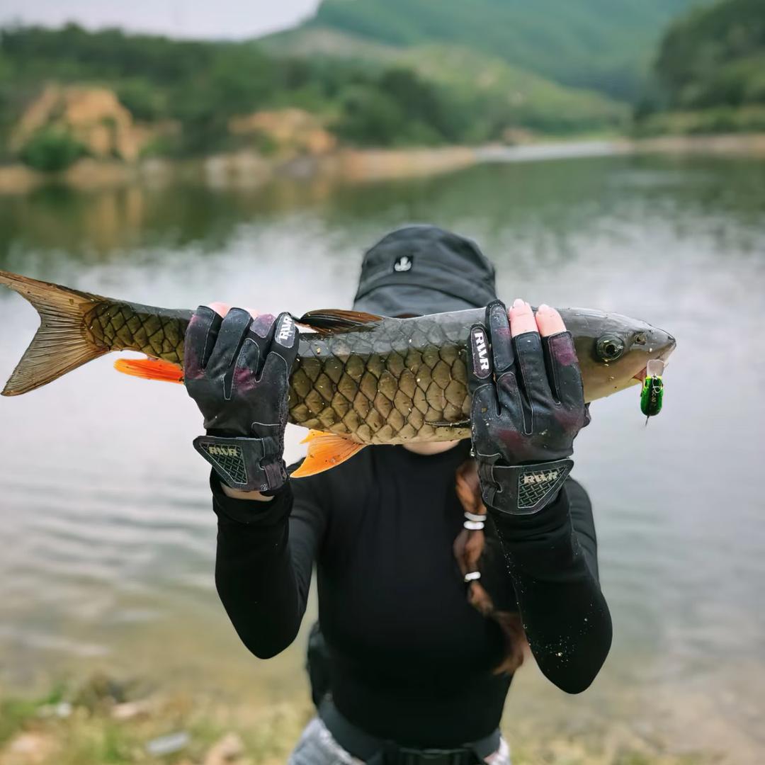 欢乐钓场🎣TT