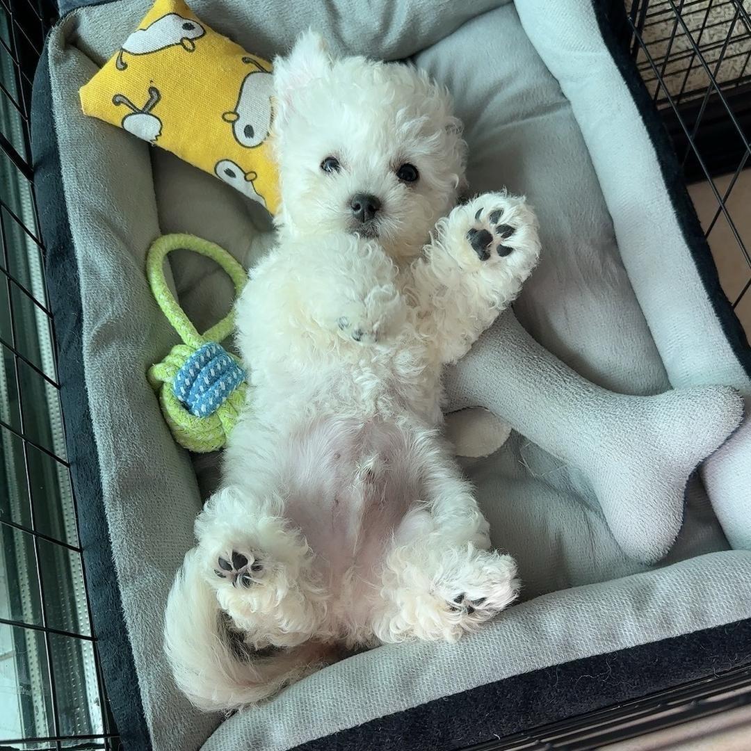 HM黑马 买手店2号