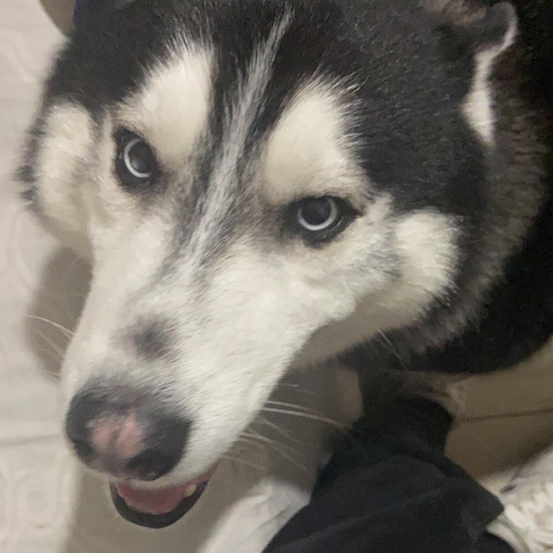 玩铜款点我主页