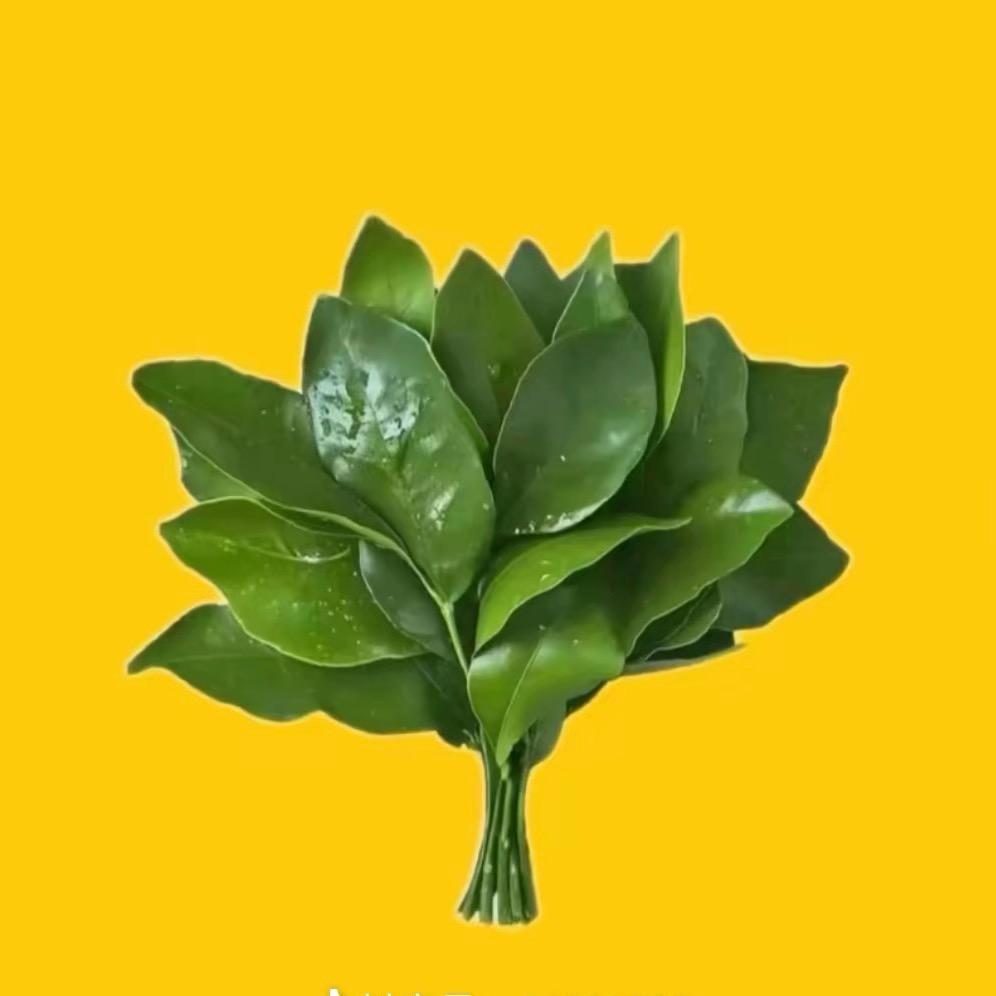Chen橙🍊