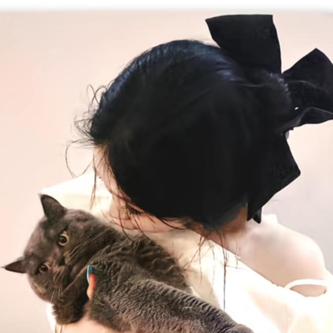 如初、