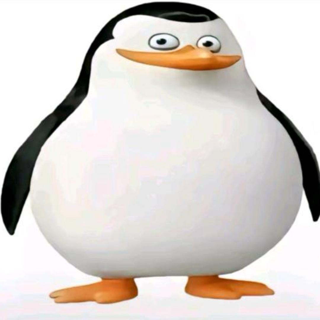 马达加斯加的企鹅