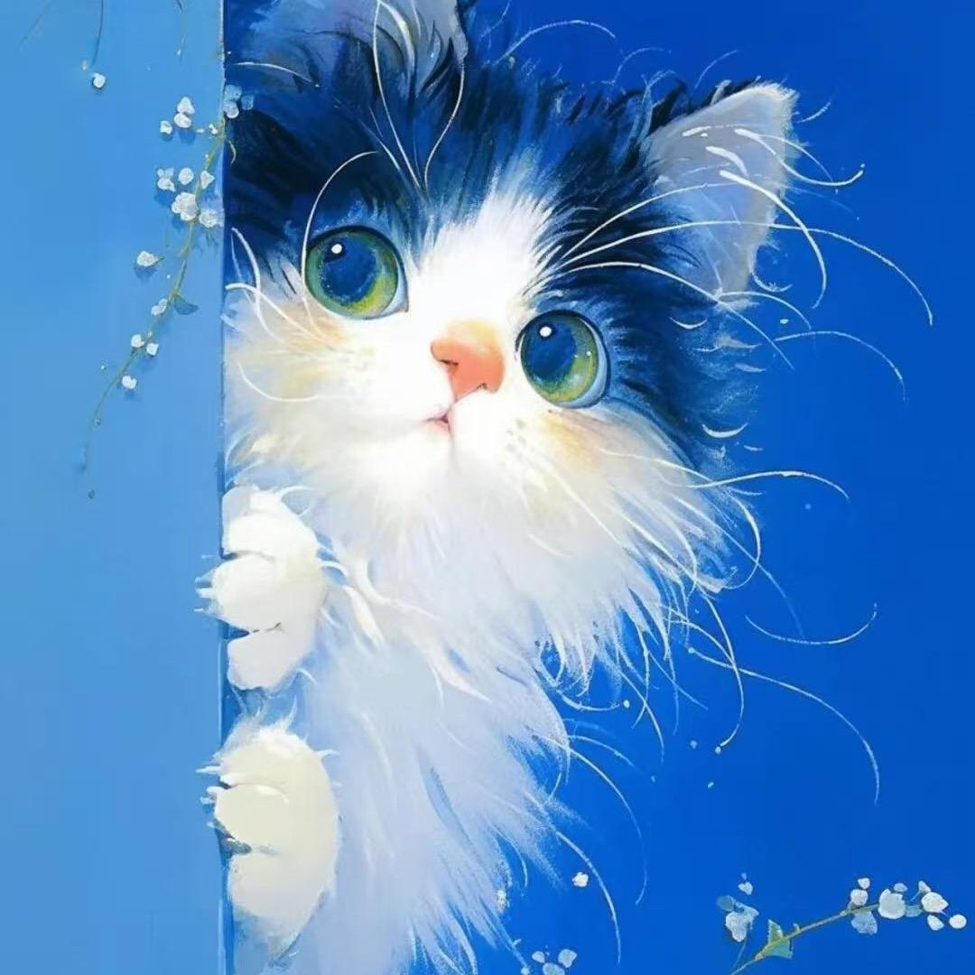 前奏
