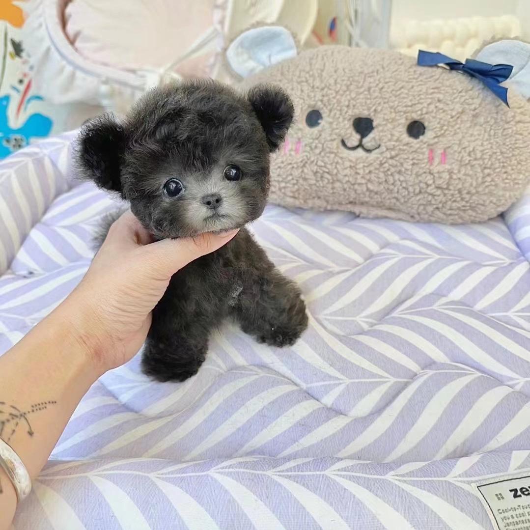 忠华萌宠商品超市