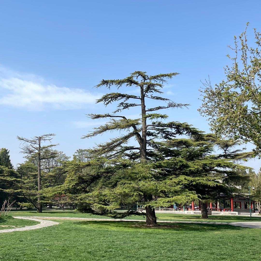 快乐生活每一天