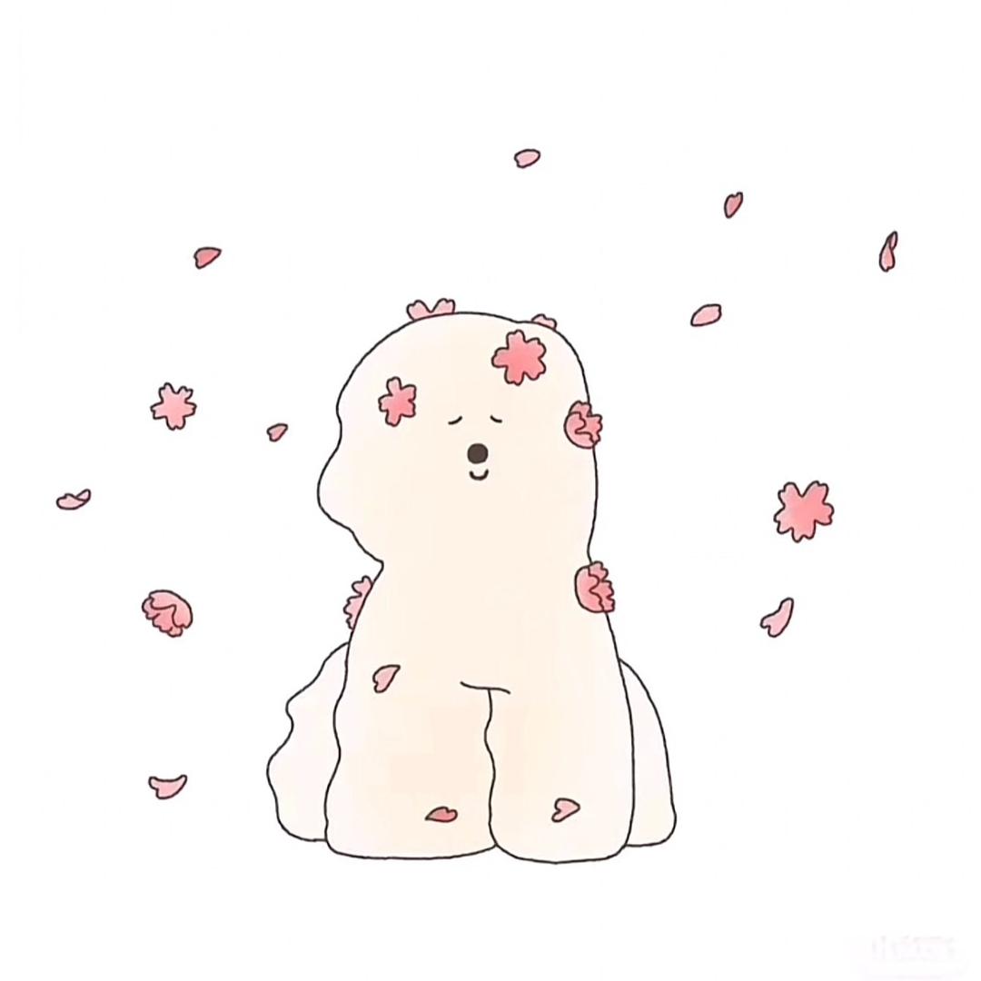 Biiiii