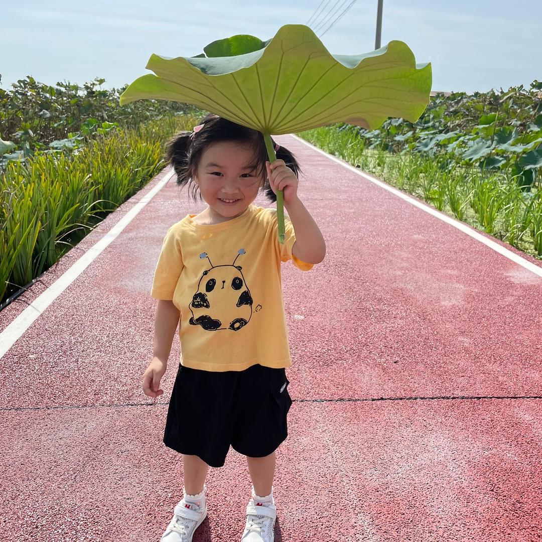 小清清