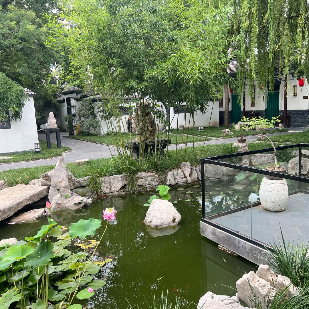 茂元ᶻʷ