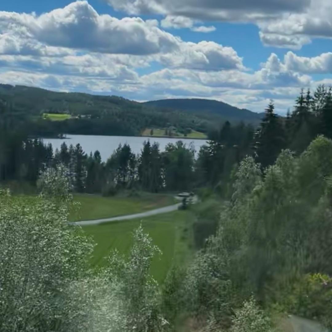 哈哈哈哈哈哈哈