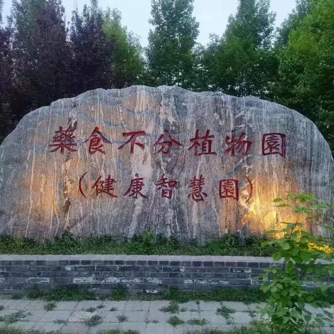 小猪官儿
