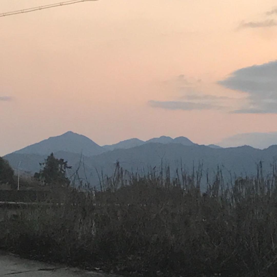原缘好物分享